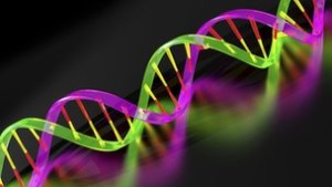 Read more about the article Προστάτης και γονίδια