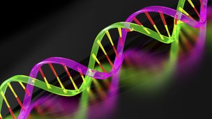 Read more about the article Προστάτης και γονίδια