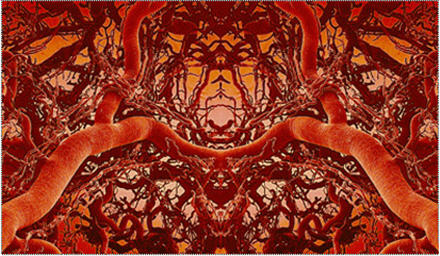 Read more about the article Ωστικά κύματα για στύσεις!